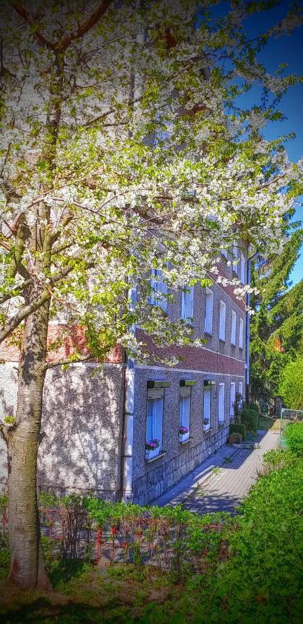 Apartament Apartament Sjesta Park Kudowa-Zdrój Zewnętrze zdjęcie